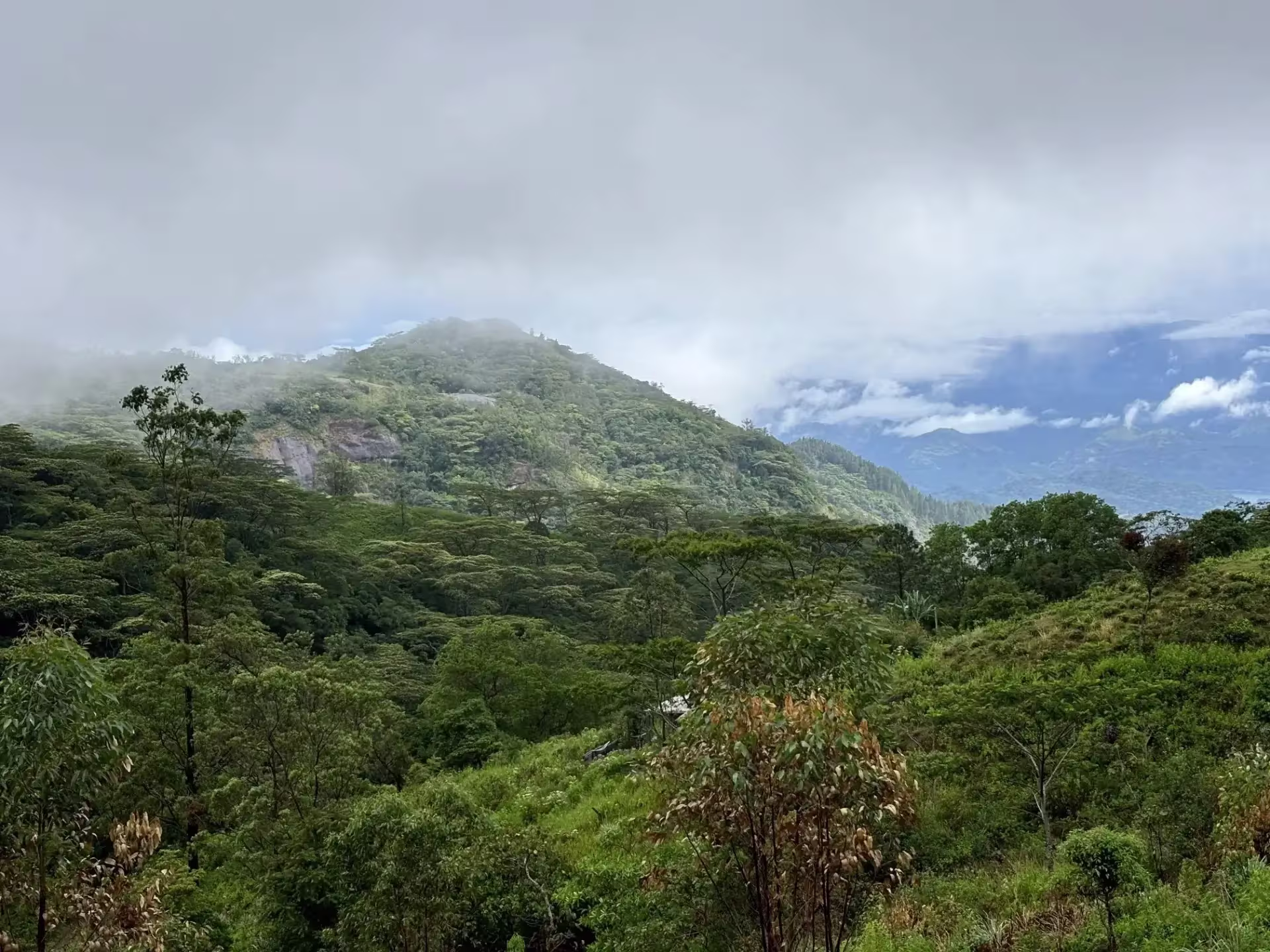 Luxury eco kabana in the Knuckles Mountains at Vintage Villa