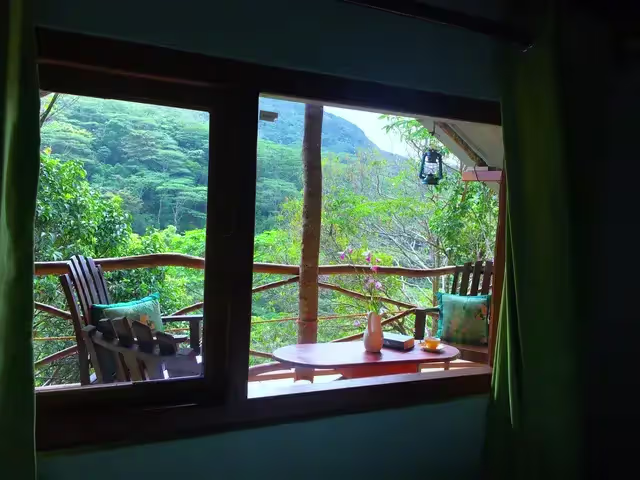 Whether you choose a room with a forest view or a private balcony overlooking the mountains, each luxury space offers a tranquil escape. Allow the gentle rustling of leaves and the scent of fresh mountain air to lull you into a peaceful slumber.